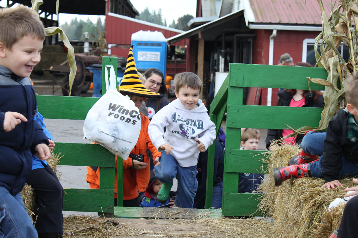 A real hay ride, pulled by a tractor out to the pumpkin patch