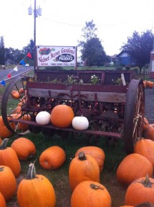 Ready for the 2015 vancouver pumpkin patch