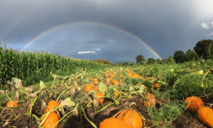 Sept 2019 picture showing a double rainbow at vancouver's pumpkin patch